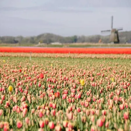 بيت للعطل Calm In North Holland