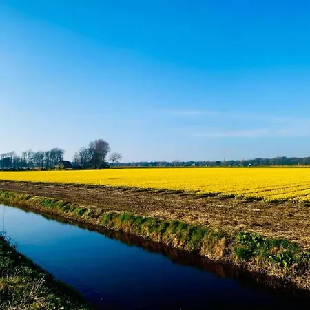 Calm In North Holland * بيرشِن