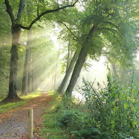 Casa de Férias Near Forest &