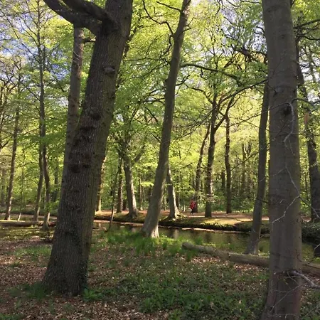 Casa de Férias Near Forest & *