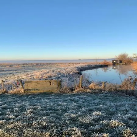 Near Forest & 別荘 ベルゲン