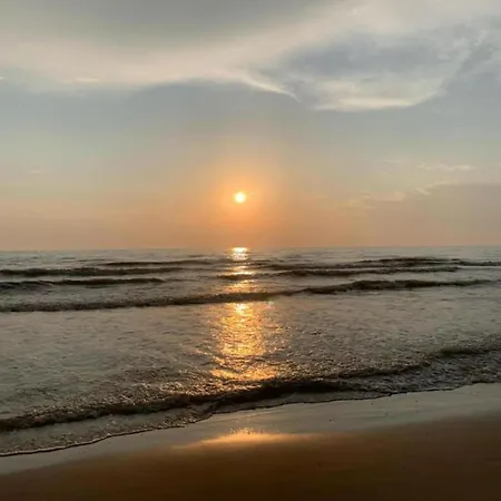 別荘 Near Forest & ベルゲン