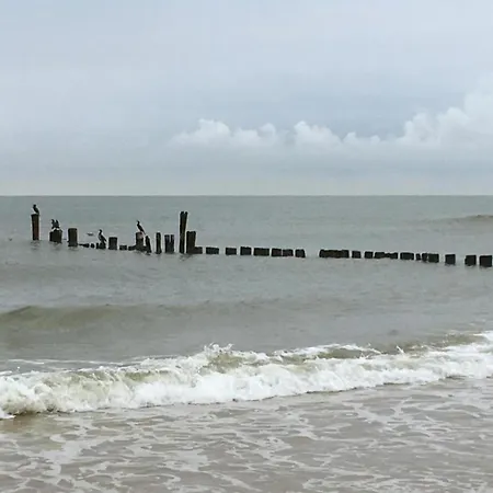 別荘 Near Forest &