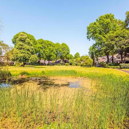 Near Forest & * ベルゲン