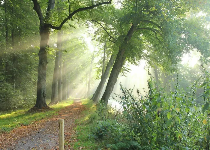 度假居 Near Forest &