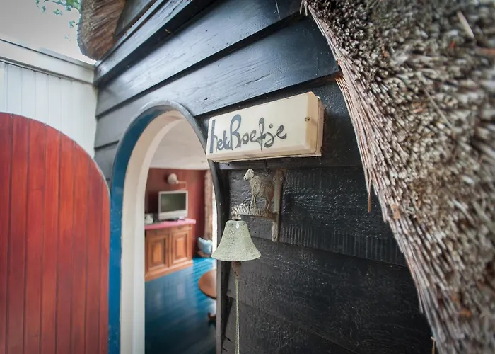 Near Forest & 卑尔根