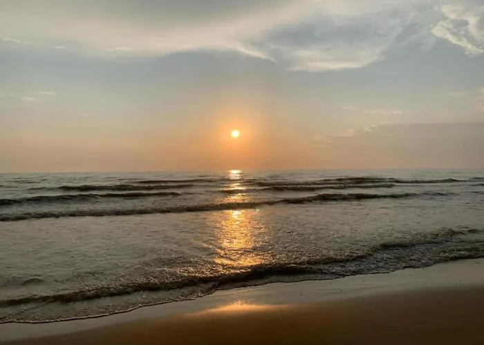 Near Forest & 卑尔根