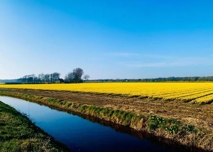 Near Forest & * 卑尔根