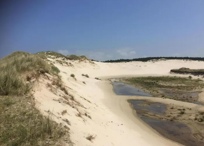 Near Forest & * 卑尔根