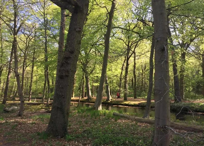 度假居 Near Forest & 卑尔根