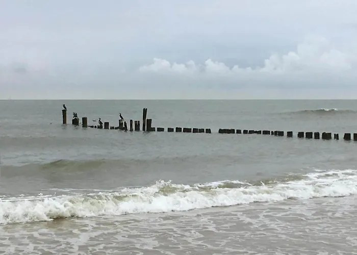 Near Forest & 度假居 *