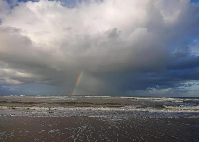 Near Forest & 度假居 *