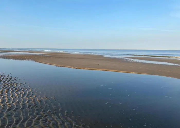 Near Forest & 卑尔根