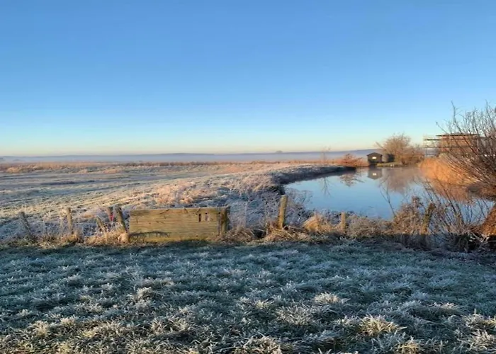 Near Forest & 卑尔根