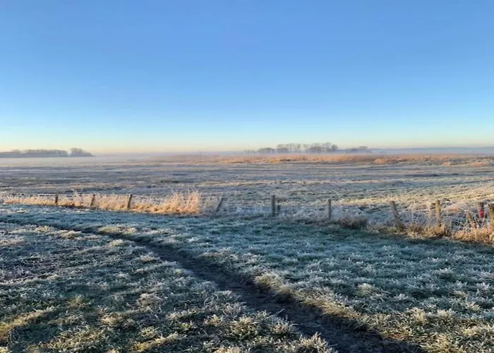 Near Forest & * 卑尔根