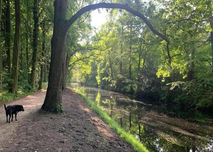 Near Forest & 度假居