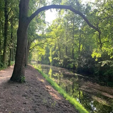 Near Forest & Ferienhaus